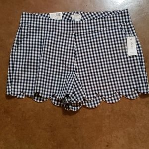 Navy and white Scallop Shorts